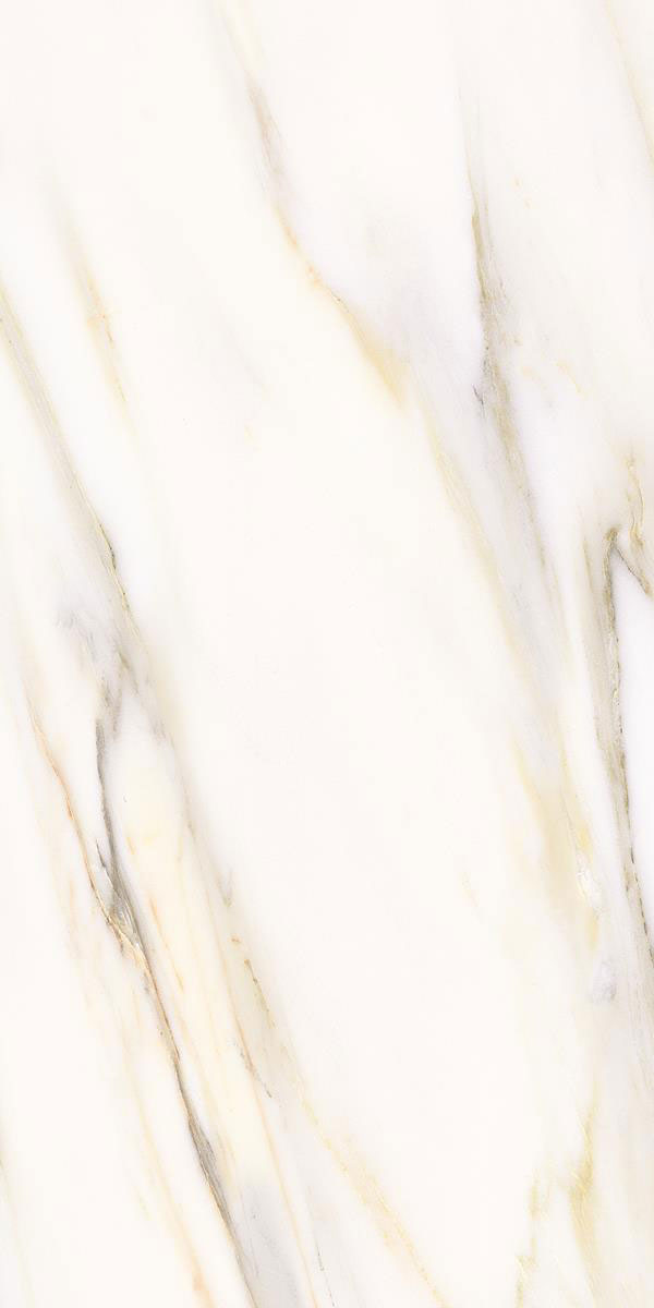 STATURIO FRECCIA F5